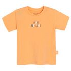 Cool Club, Set pentru baieti, Tricou, Pantaloni scurti, portocaliu-gri