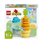 LEGO DUPLO, Primul meu morcov care creste, 10981