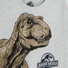 Cool Club, Tricou pentru baieti, bej melanj, imprimeu Jurassic World