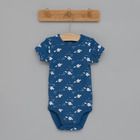 Cool Club, Body cu maneca scurta pentru baieti, bumbac organic, imprimeu rechini, set 3 buc.