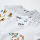Cool Club, Body cu maneca scurta pentru baieti, bumbac organic, mix de culori, imprimeu Scooby-Doo, set 3 buc.