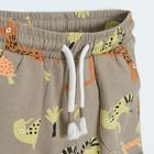 Cool Club, Set pentru baieti, Tricou, Pantaloni scurti, portocaliu-gri