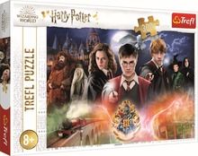 Trefl, Harry Potter, Secret, puzzle, 300 piese