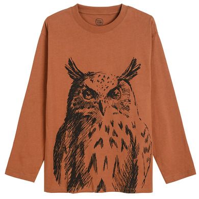 Cool Club, Bluza cu maneca lunga pentru baieti, maro, imprimeu bufnita