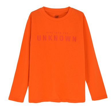 Cool Club, Bluza cu maneca lunga pentru baieti, portocaliu, imprimeu Dive into the unknown