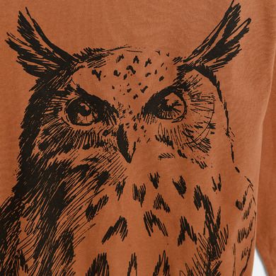 Cool Club, Bluza cu maneca lunga pentru baieti, maro, imprimeu bufnita