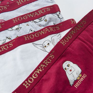 Cool Club, Chilotei pentru fete, mix de culori, imprimeu Harry Potter, set 5 buc.