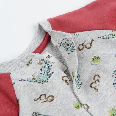 Cool Club, Set pentru baieti, pijama tip salopeta, baveta, gri-bordo, imprimeu Harry Potter