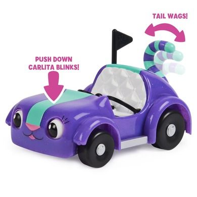 Casa de papusi a lui Gabi, Pisicuta Pandy la picnic, set cu figurina