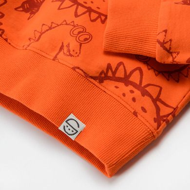 Cool Club, Bluza pentru baieti, rosu, imprimeu dinozauri