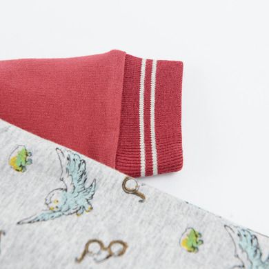 Cool Club, Set pentru baieti, pijama tip salopeta, baveta, gri-bordo, imprimeu Harry Potter