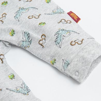 Cool Club, Set pentru baieti, pijama tip salopeta, baveta, gri-bordo, imprimeu Harry Potter